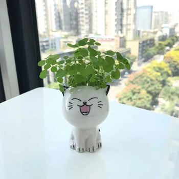 1 τμχ Κεραμική γλάστρα Mini Cat Cartoon Cute Plant Desktop Potted Plant Pot DIY Decorate Toys Science Education School Gifts