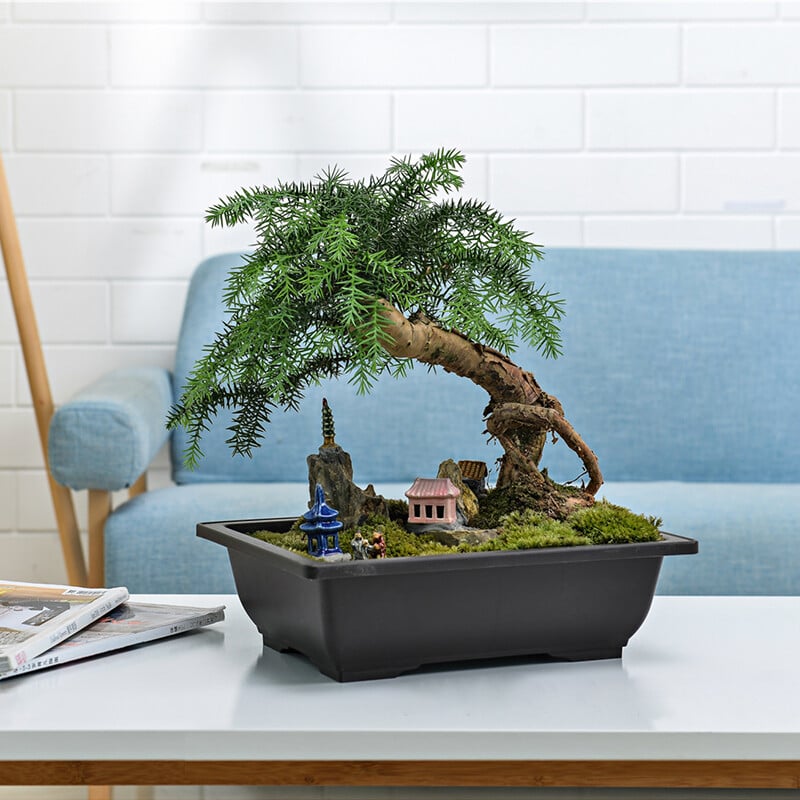 Posude za vježbanje Posude za cvijeće Imitacije sukulentnih biljaka Posude Plastične posude za bonsai Vanjski vrt Pejzaž Četvrtaste posude u saksijama