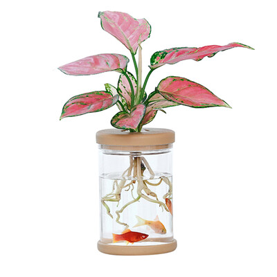 Mini hidroponski lonac za cvijeće Dekoracija kućne vaze Prozirna imitacija staklene posude za biljke bez zemlje Posude za zelene biljke za uređenje doma
