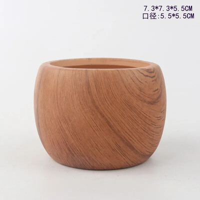 Keramičke posude za sukulentno cvijeće za prijenos vode Kreativno nordijsko vrtlarstvo Umjetnička vaza Ukrasi za kućni ured Potrepštine za vrt