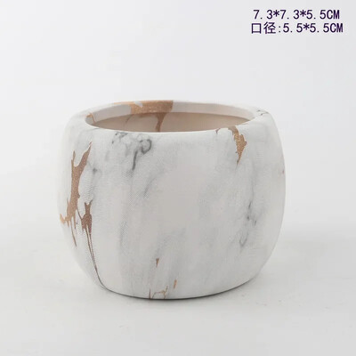 Keramičke posude za sukulentno cvijeće za prijenos vode Kreativno nordijsko vrtlarstvo Umjetnička vaza Ukrasi za kućni ured Potrepštine za vrt