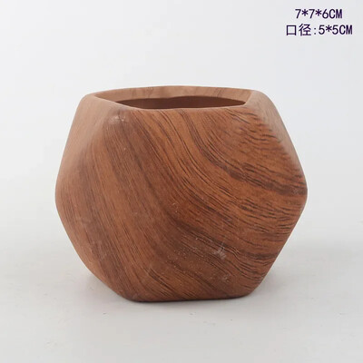 Keramičke posude za sukulentno cvijeće za prijenos vode Kreativno nordijsko vrtlarstvo Umjetnička vaza Ukrasi za kućni ured Potrepštine za vrt