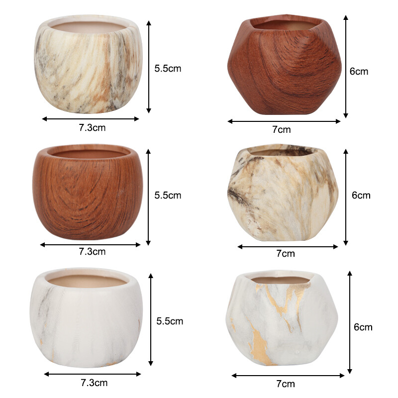 Keramičke posude za sukulentno cvijeće za prijenos vode Kreativno nordijsko vrtlarstvo Umjetnička vaza Ukrasi za kućni ured Potrepštine za vrt