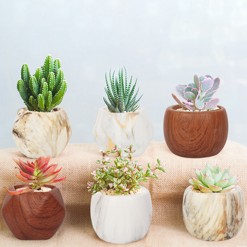 Keramičke posude za sukulentno cvijeće za prijenos vode Kreativno nordijsko vrtlarstvo Umjetnička vaza Ukrasi za kućni ured Potrepštine za vrt