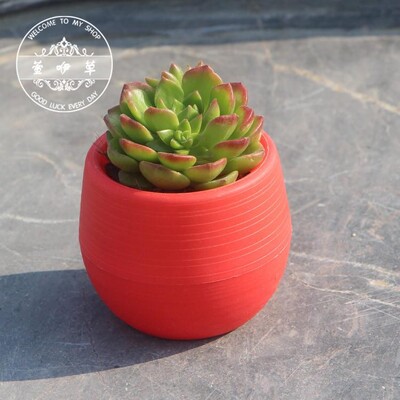 Színes mini cserepes cserep irodai dekorációhoz Virágtartó cserepek beltéri kertben zamatos kis ültetőgép irodai dekorációhoz