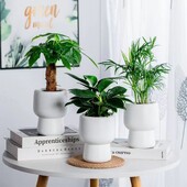 Lengvas prabangus savaime laistomas hidroponinis augalų vazonas, plastikinis, išimamas mini sultingas vazonas ant stalo