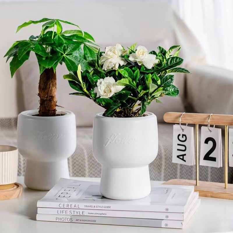 Lengvas prabangus savaime laistomas hidroponinis augalų vazonas, plastikinis, išimamas mini sultingas vazonas ant stalo