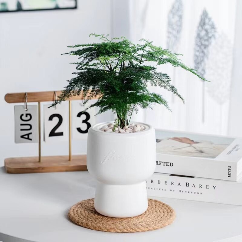 Lengvas prabangus savaime laistomas hidroponinis augalų vazonas, plastikinis, išimamas mini sultingas vazonas ant stalo