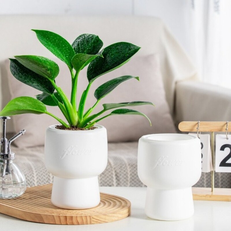 Lengvas prabangus savaime laistomas hidroponinis augalų vazonas, plastikinis, išimamas mini sultingas vazonas ant stalo