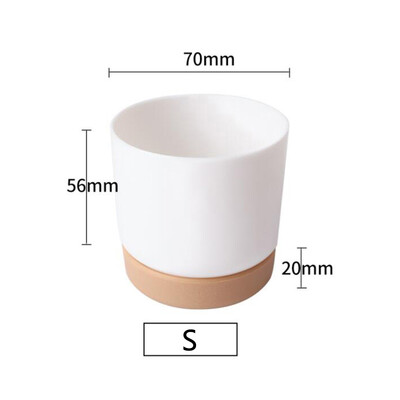 Vazonas sultingiems augalams Dviejų sluoksnių sultingų žaliųjų krapų vazonas mažas žalias augalas