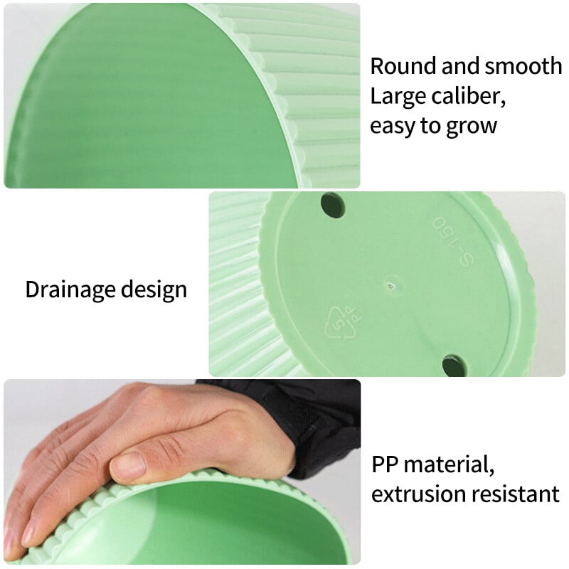 Posude za biljke Balkonske sadnje Posude za cvijeće u saksijama Plastične posude za cvijeće Posude za sukulentne biljke Pladanj Vrt Dekoracija stola
