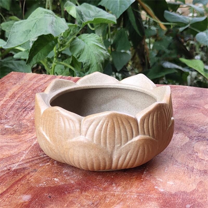 Голям калибър Сукулентни и обикновено изпечени керамични саксии Сукулентни пачуърк чинии Група от и груби саксии за цветя 대형화분