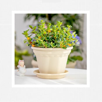 Nordic Simple Root-controlled Rose Hydrangea Green Rose Plastic Flower Pot Gardening Green Planting Pot