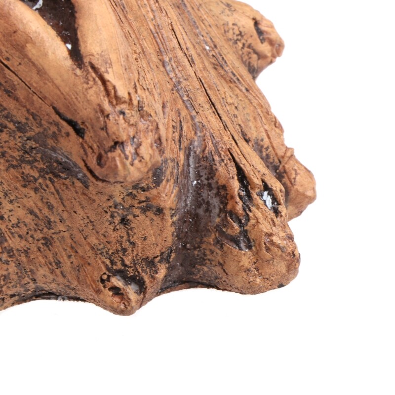 Sultingų augalų vazonų bonsai dekoravimas su medžio imitacijos gėlių cemento sodintuvu vidaus ir lauko sodo reikmenims