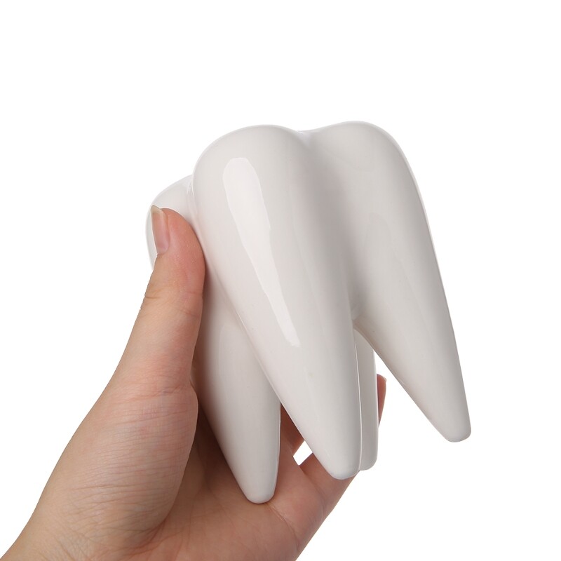 2024 Noua ghiveci din ceramica in forma de dinte Jardin verde suculente Container cactus Decor