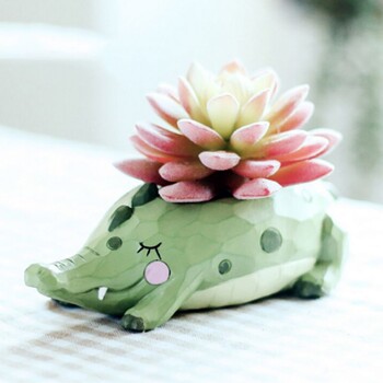 Cute Animals Γλάστρες για παχύφυτα φυτά Crocodile Whale Dinosaur Elephant Planters Bonsai Διακόσμηση επιφάνειας εργασίας σπιτιού