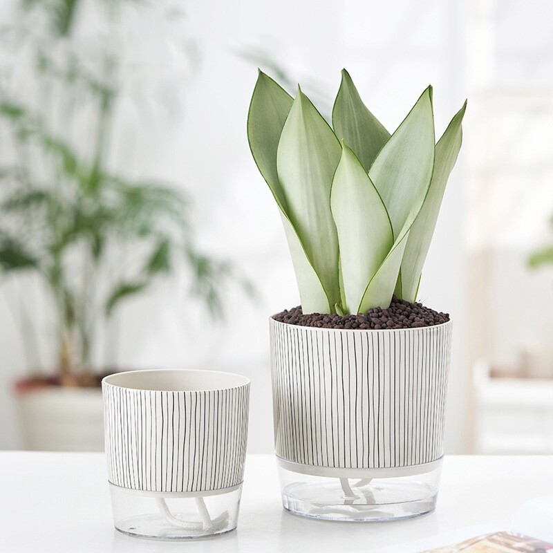 Samozalijevajući lonac za cvijeće Lazy Automatic Hydroponics Biljni lonac Pamučni konop za zalijevanje Sukulentne žardinjere za saksije Dekoracija kućnog ureda