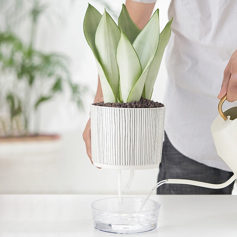 Samozalijevajući lonac za cvijeće Lazy Automatic Hydroponics Biljni lonac Pamučni konop za zalijevanje Sukulentne žardinjere za saksije Dekoracija kućnog ureda