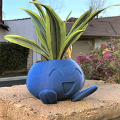 Oddish Kvetináč Oddish Kvetináč do sukulentov Kvetináč do kvetináča