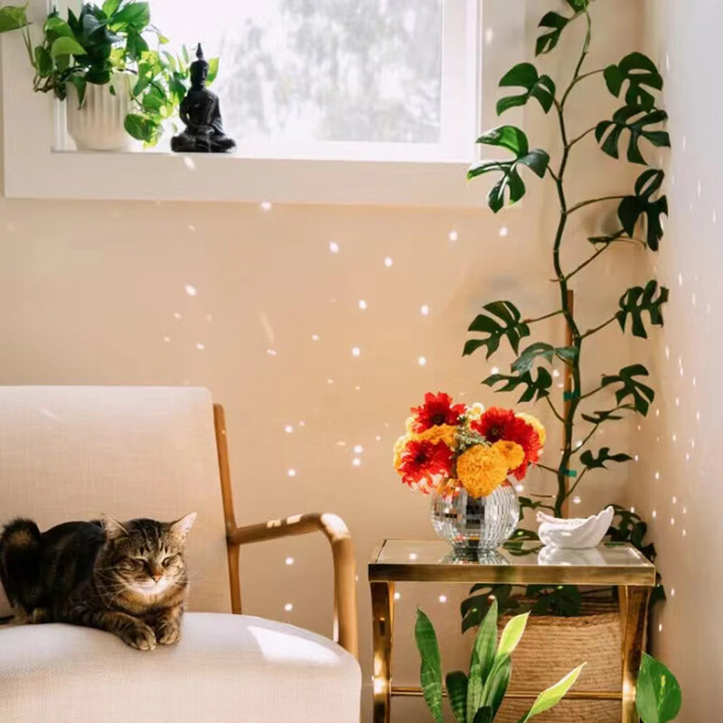 10/15/20CM košara Disco kugla Viseća žardinjera Unutarnja zidna viseća Kreativna zelena tegla za cvijeće Vrtni ukras Vrtlarstvo Viseći