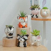 Animacinis filmas Lapė Zebra Avis Karvė Mini Vazonas Sukulentai Augalai Bonsai Vazonai Keraminiai Gyvūnų Vazonai Vintažinė vaza Namų sodo apdaila