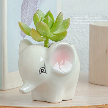 Cartoon Fox Zebra Sheep Cow Mini Pot παχύφυτα Φυτά Bonsai Γλάστρες Κεραμικές γλάστρες ζώων Vintage Βάζο Διακόσμηση κήπου σπιτιού