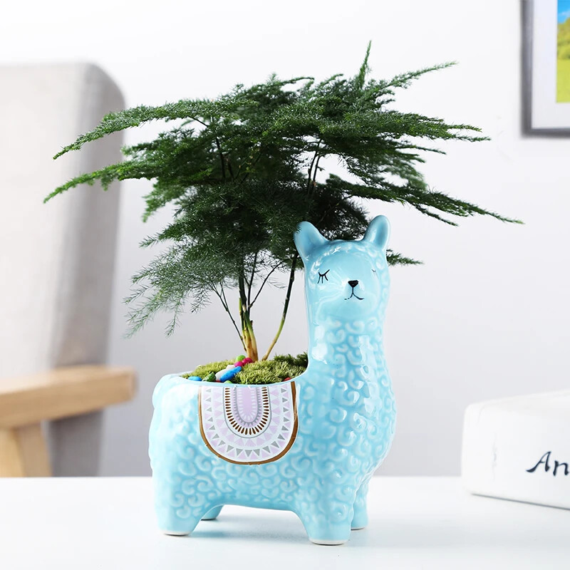 Desen animat drăguț alpaca ghiveci suculent pentru birou plasat în ghiveci container decorare cadou balcon plantă ceramică creativ