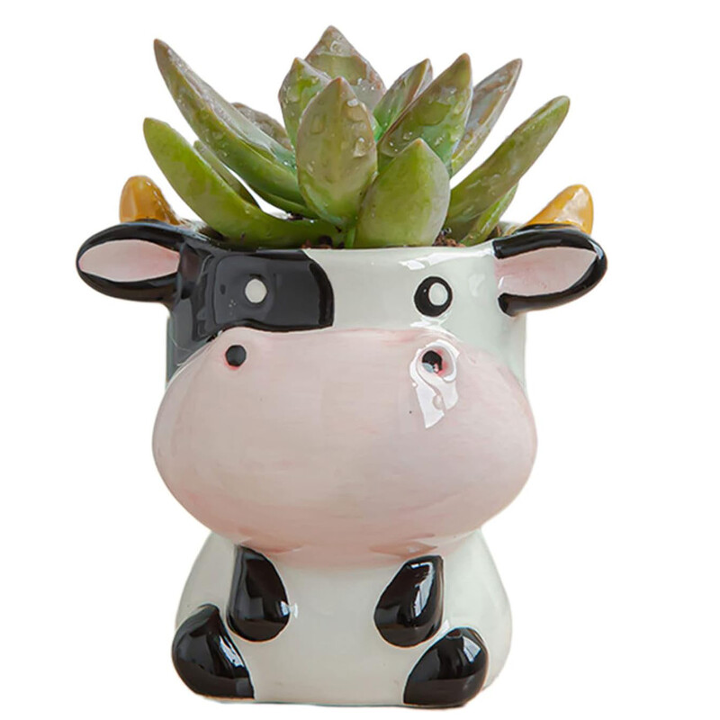 Mielas šiaurietiško stiliaus keraminis gyvūnų gėlių vazonas Animacinis filmas Zebra Avis Karvės galva Mini Vazonas Sukulentai Augalai Bonsai Vazonai Namų dekoravimas
