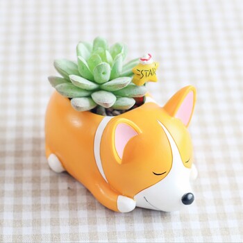 Γελοιογραφία Animal Succulent Plant Pot Cute Corgi Labrador Dog Resin Flowerpot Garden Planting Pot Garden Planter Διακοσμητικά επιφάνειας εργασίας