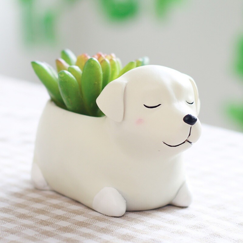 Kreslené zvieracie sukulentné rastliny v kvetináči, roztomilý corgi, labrador, pes, živicový kvetináč, záhradný kvetináč, záhradný kvetináč, stolové ozdoby.