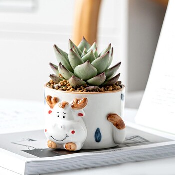 Ceramic Succulent Planter Animal Cartoon Γλάστρα Πολύχρωμη Κάκτος Δοχείο Γλάστρες κήπου Διακοσμητική γλάστρα φυτών για το σπίτι στον κήπο