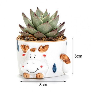 Ceramic Succulent Planter Animal Cartoon Γλάστρα Πολύχρωμη Κάκτος Δοχείο Γλάστρες κήπου Διακοσμητική γλάστρα φυτών για το σπίτι στον κήπο