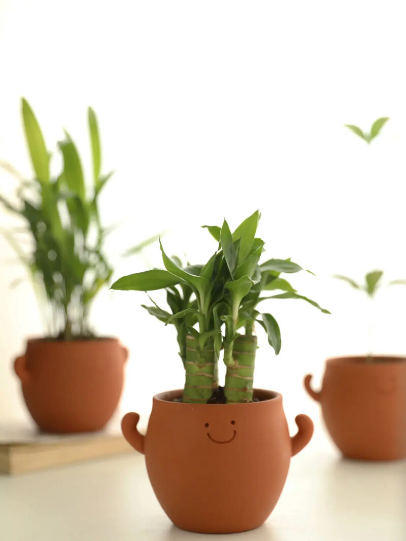 Plin de putere Vasă minunată în ghiveci Ghiveci cu o singură priză respirabilă Ghiveci permeabil din lut roșu își schimbă culoarea când apa