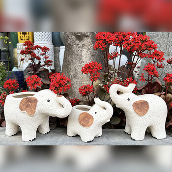 Αξεσουάρ φυτών Bonsai Accessories Γλάστρα Cute Elephants Ceramic Succulent Planter Pots Διακόσμηση κήπου Γλάστρες σπιτιού