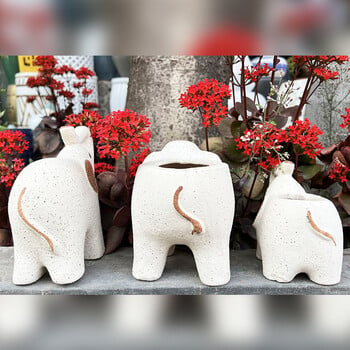 Αξεσουάρ φυτών Bonsai Accessories Γλάστρα Cute Elephants Ceramic Succulent Planter Pots Διακόσμηση κήπου Γλάστρες σπιτιού