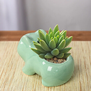 Creative Ceramic Mini Flowerpot Jucculent Planter Γλάστρα με τρύπα χαριτωμένα πράσινα φυτά φυτευτή διακόσμηση σπιτιού κήπου εξωτερικού χώρου