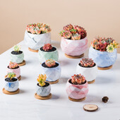 Keraminis gėlių vazonas su bambuko padėklu Japoniško stiliaus sultingas augalas vazonas Bonsai vazonas Sodo dekoras Kaktusų augalai Sodinamosios