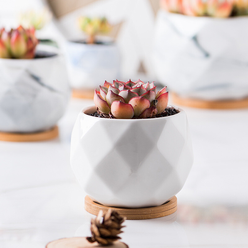 Keraminis gėlių vazonas su bambuko padėklu Japoniško stiliaus sultingas augalas vazonas Bonsai vazonas Sodo dekoras Kaktusų augalai Sodinamosios