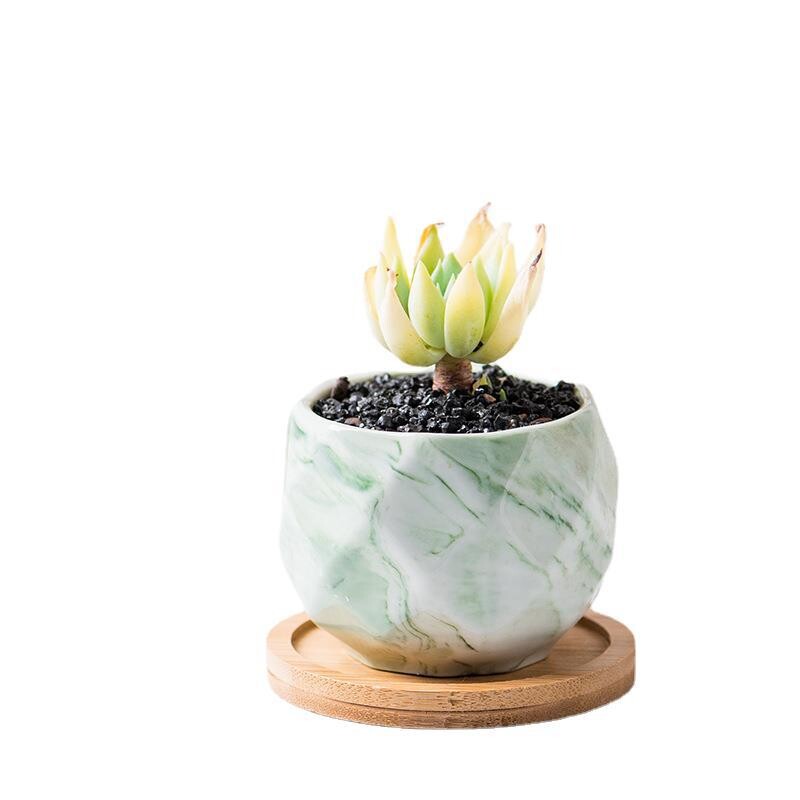 Keraminis gėlių vazonas su bambuko padėklu Japoniško stiliaus sultingas augalas vazonas Bonsai vazonas Sodo dekoras Kaktusų augalai Sodinamosios