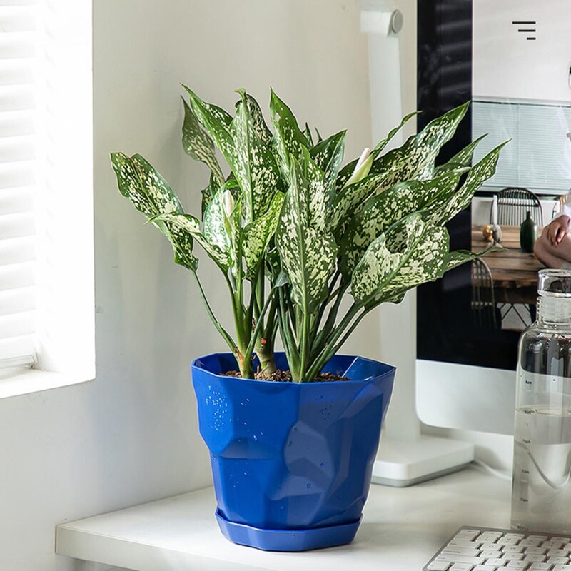 Virágcserép Kiváló tartós, műanyag díszes színes cserep tálcával Légáteresztő északi stílusú mini virágültető