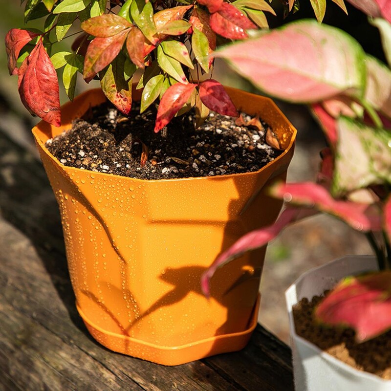 Virágcserép Kiváló tartós, műanyag díszes színes cserep tálcával Légáteresztő északi stílusú mini virágültető