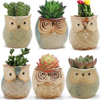 European Owl Animal Thumb Μικρή γλάστρα Creative Succulent Plant Pot Personality Ceramic Crafts Διακόσμηση σπιτιού