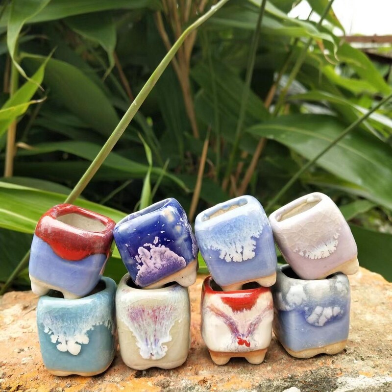 10 vnt Mini keramikos vazonas Mini Lithops Kaktusas Sultingas Augalas Nykštis Vazonas Namų sode Bonsai Vazoninis vazonas Sodinimas