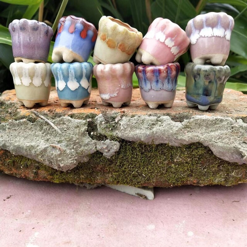 10 vnt Mini keramikos vazonas Mini Lithops Kaktusas Sultingas Augalas Nykštis Vazonas Namų sode Bonsai Vazoninis vazonas Sodinimas