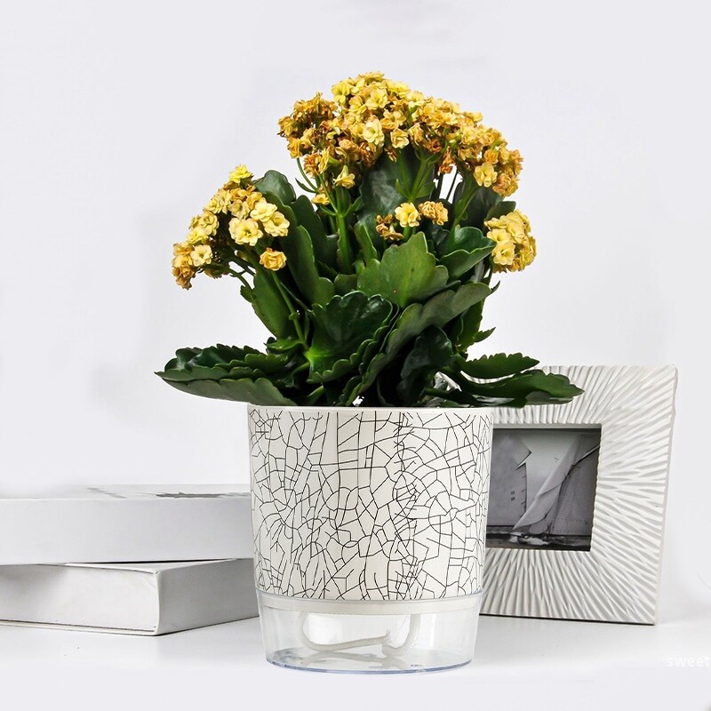 Savaime sugeriantis vazonas plastikinis hidroponinis tingus gėlių vazonas, sutirštintas vandens laikymo vazonas, stalinis vazoninis vazonas Namų dekoras