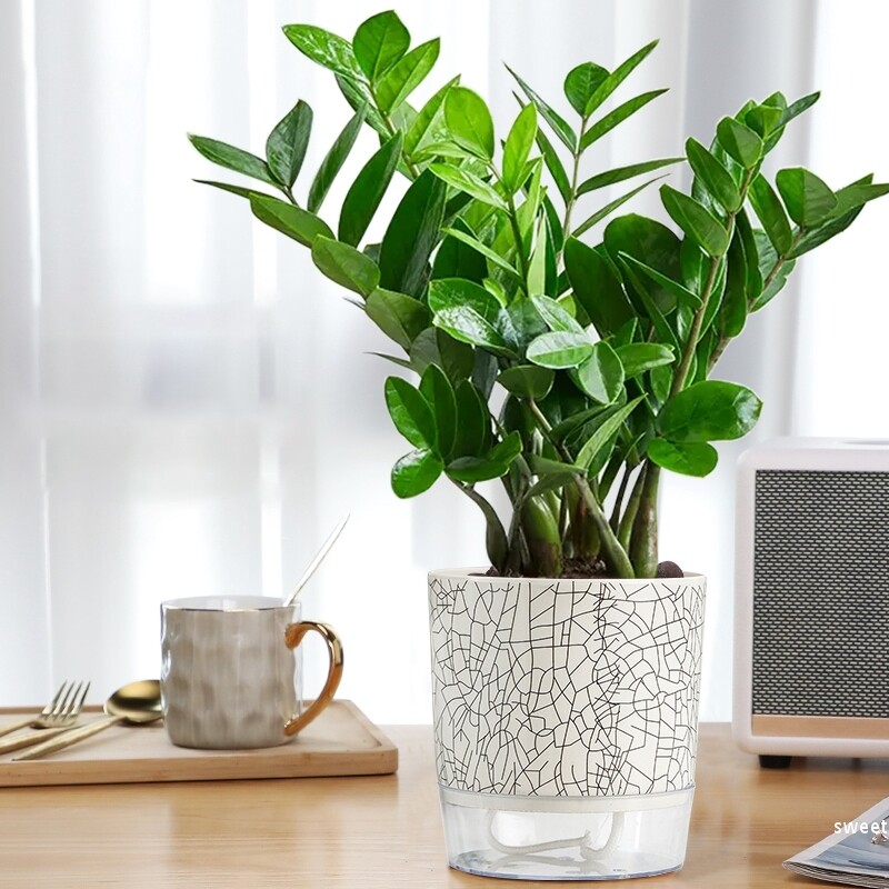 Savaime sugeriantis vazonas plastikinis hidroponinis tingus gėlių vazonas, sutirštintas vandens laikymo vazonas, stalinis vazoninis vazonas Namų dekoras