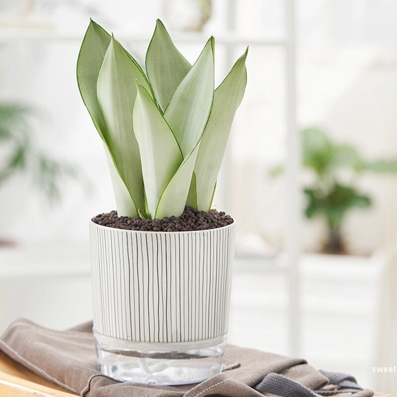 Savaime sugeriantis vazonas plastikinis hidroponinis tingus gėlių vazonas, sutirštintas vandens laikymo vazonas, stalinis vazoninis vazonas Namų dekoras