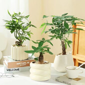 INS Keraminis gėlių vazonas Šiaurės šalių gėlių vazos kambariniams sultingiems augalams vazonuose darbastalio papuošalai Kavinės Svetainių dekoravimas