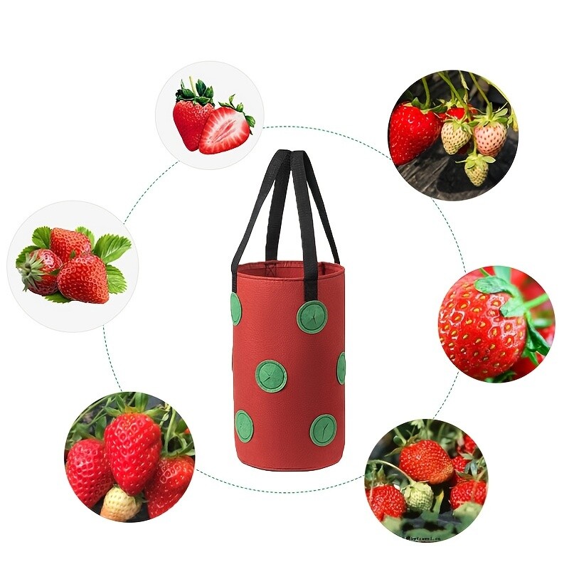 Sodo sodinimo krepšys, akytas kabantis braškių sodinimo krepšys, naudojamas daržovių sodinimo maišams kabinti šeimos balkonuose