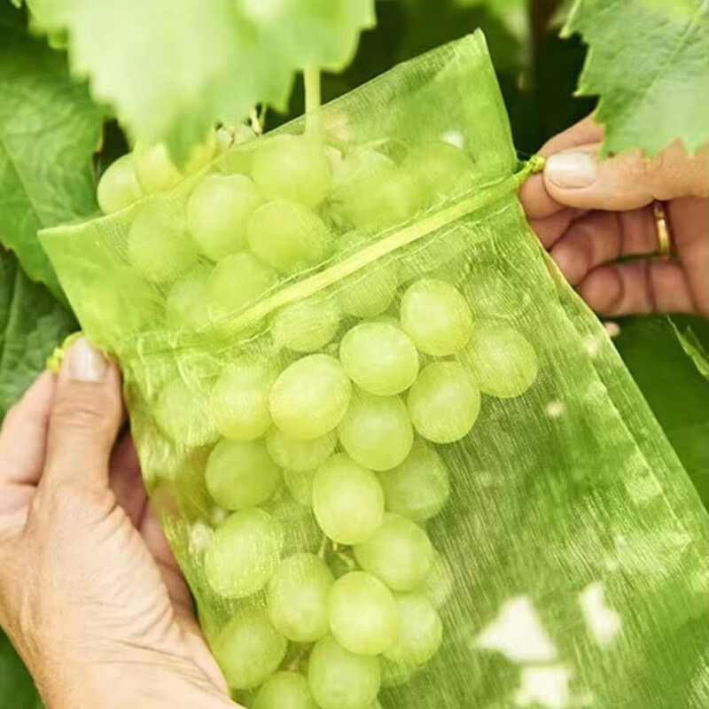 60 vnt. 3 dydžių vaisių vynuogių apsauginiai maišeliai su tinkliniu tinkliniu dangteliu vaismedžiams, gėlėms, tinklinis maišelis nuo paukščių